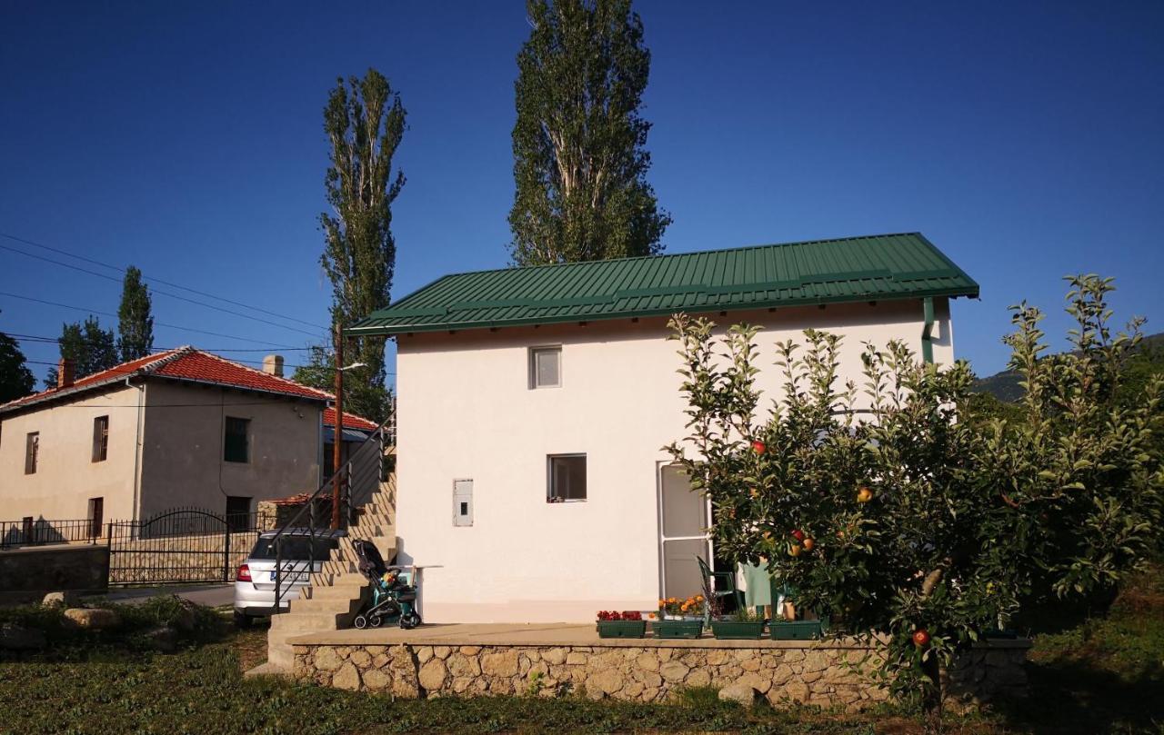 Villa Lila Dolno Dupeni 外观 照片
