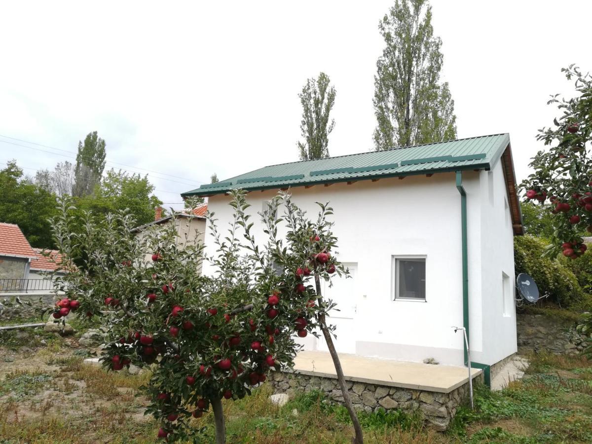 Villa Lila Dolno Dupeni 外观 照片