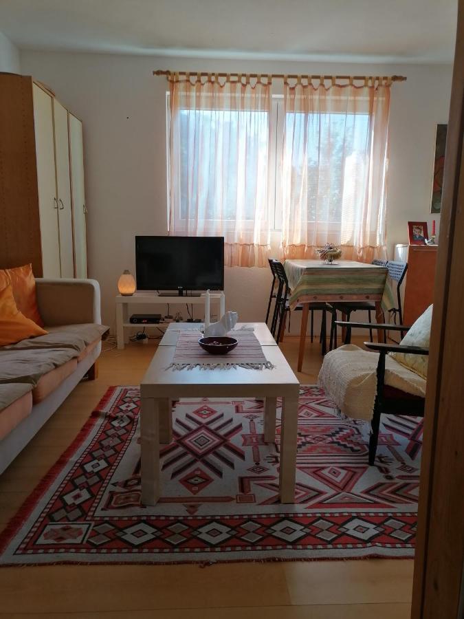 Villa Lila Dolno Dupeni 外观 照片
