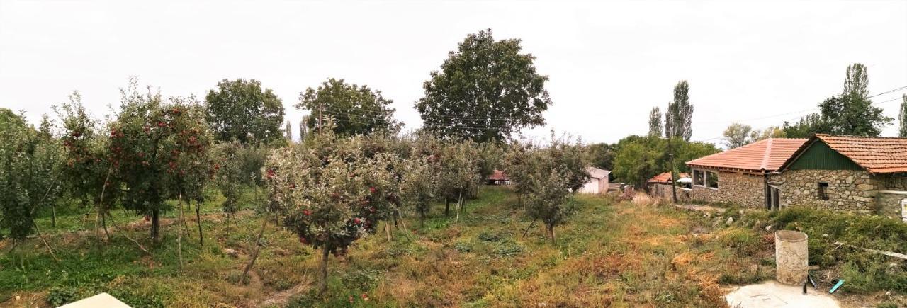 Villa Lila Dolno Dupeni 外观 照片