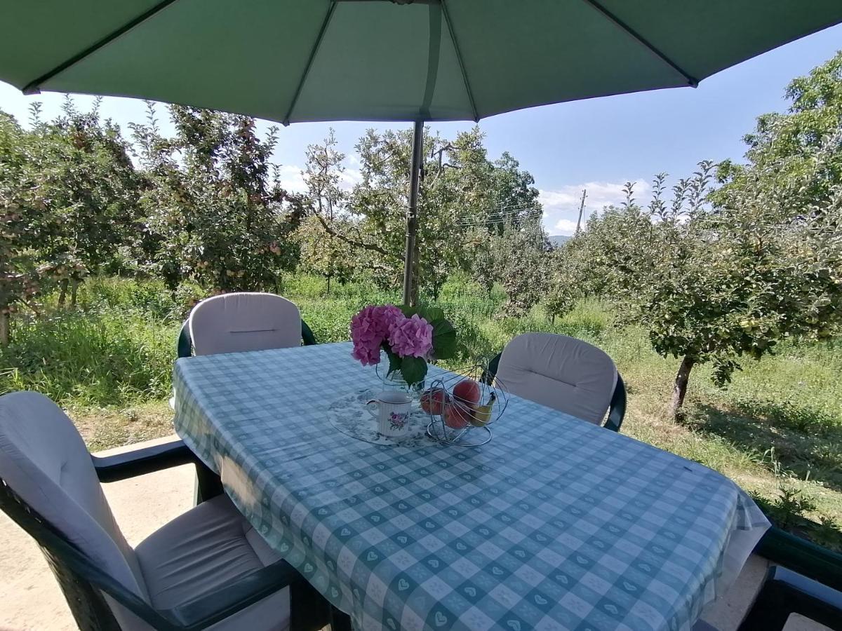 Villa Lila Dolno Dupeni 外观 照片