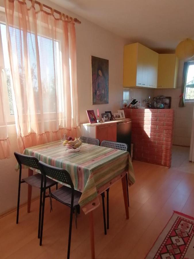 Villa Lila Dolno Dupeni 外观 照片