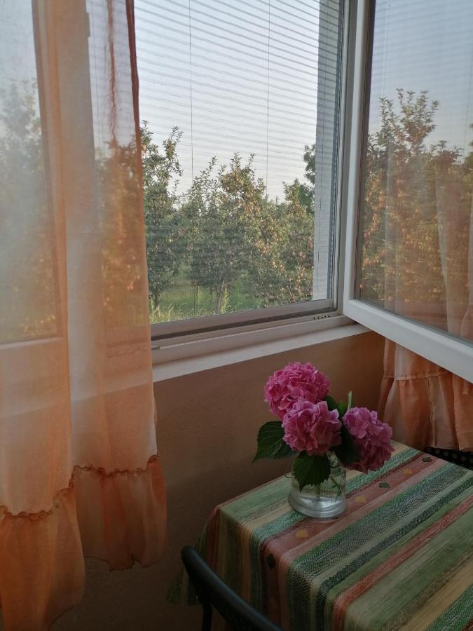 Villa Lila Dolno Dupeni 外观 照片